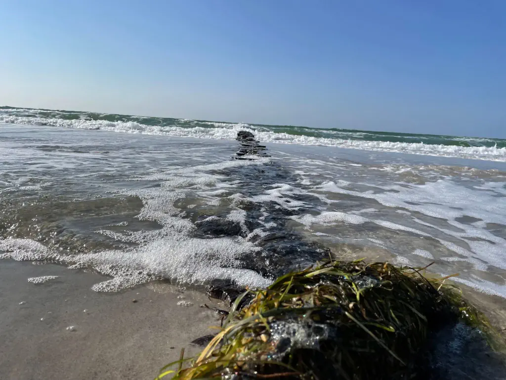 Ostseebuhne Ostsee Buhne